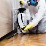 Residential Pest Control in Azle, Texas