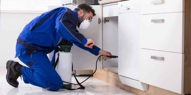Pest Removal in Weatherford, Texas