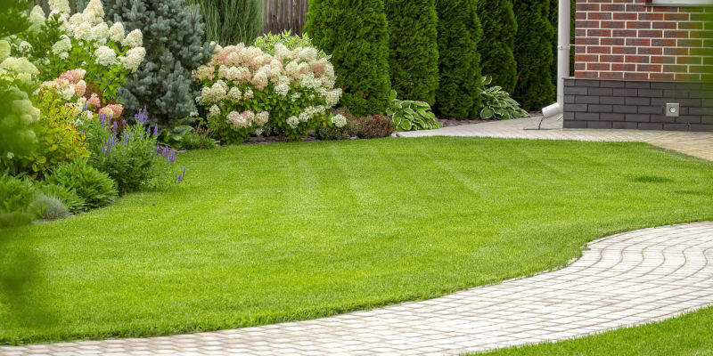 Lawn Care in Azle, Texas