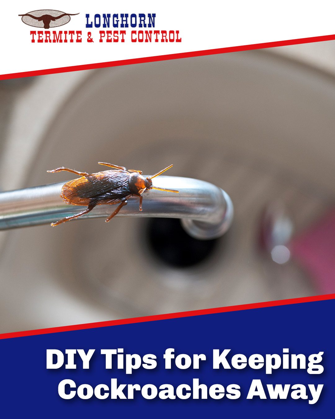 DIY Tips for Keeping Cockroaches Away