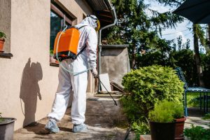Pest Removal in Azle, Texas