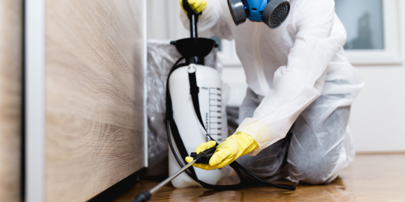 Benefits of Hiring a Professional Pest Exterminator