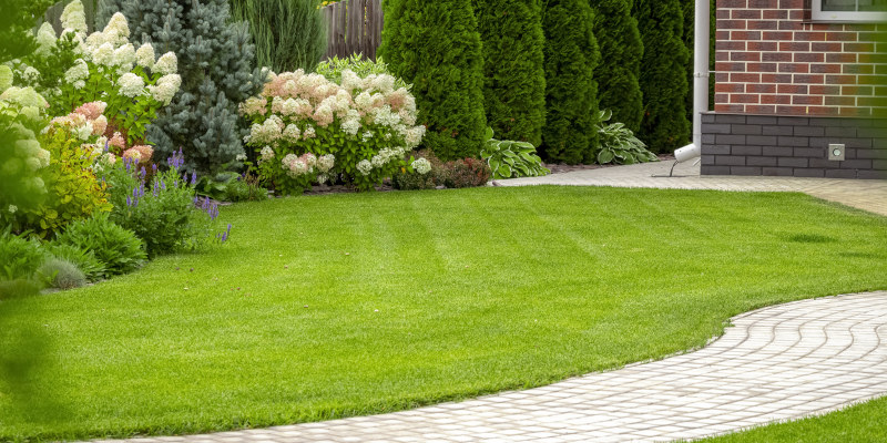 Lawn Fertilization: Why it Matters and What to Do About It