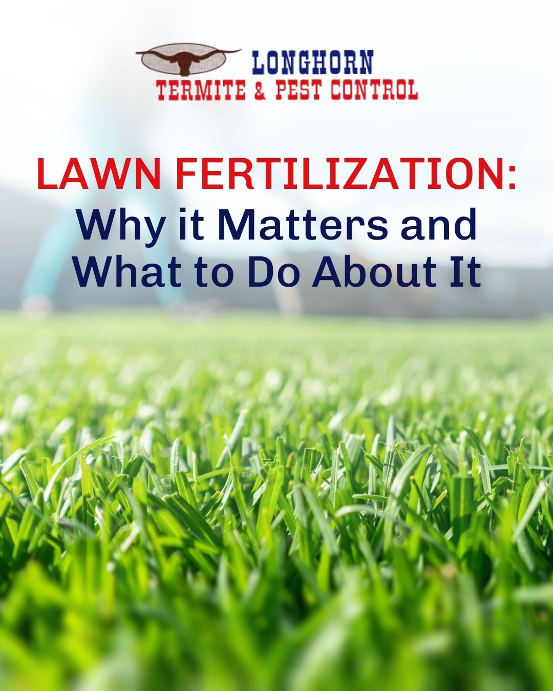 Lawn Fertilization: Why it Matters and What to Do About It
