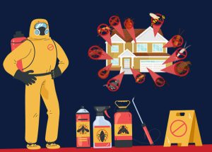 Seasonal Pest Control: Maintain a Pest-Free Home All Year Long