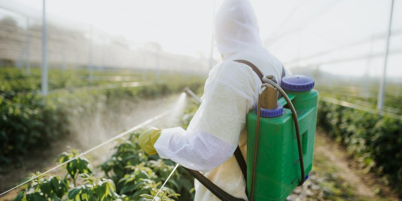 Commercial Pest Control