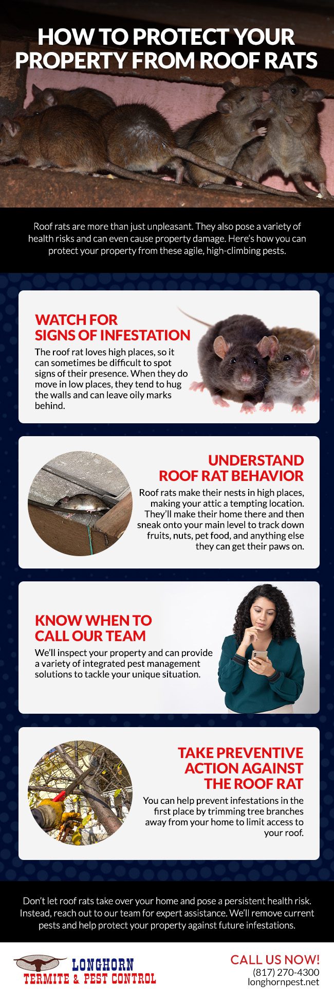 How to Protect Your Property from Roof Rats