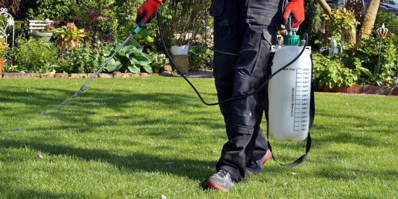Pest Exterminator in Weatherford, Texas