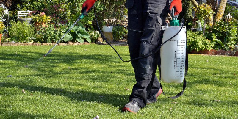 Lawn Fertilization in Azle, Texas