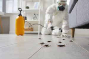 4 Reasons to Call an Exterminator